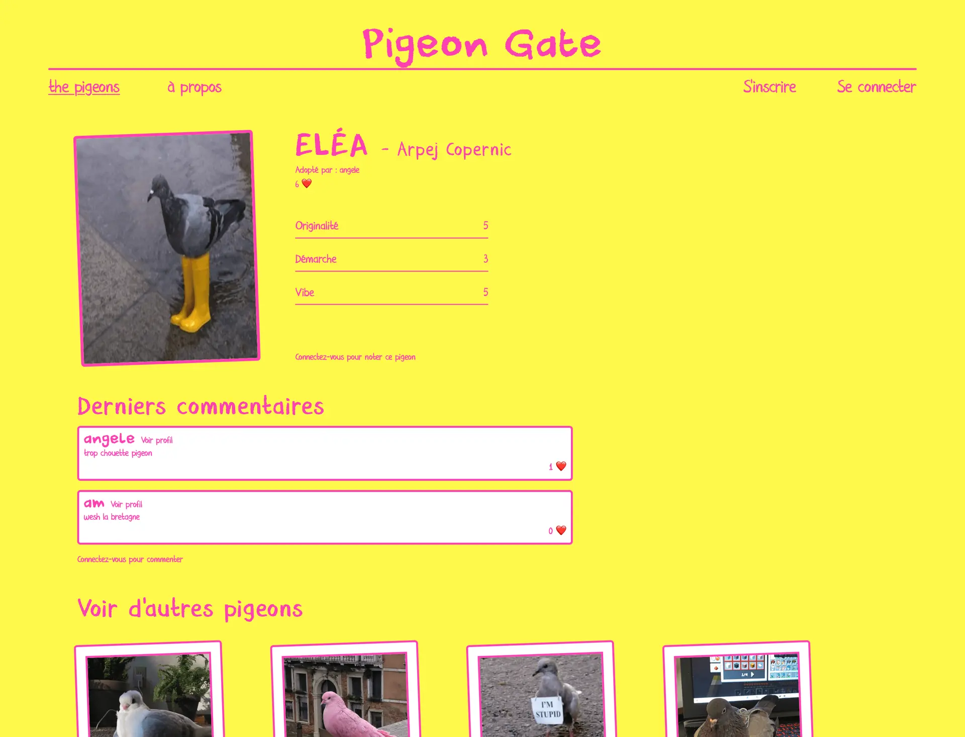 Fil d'actualité de Pigeon Gate