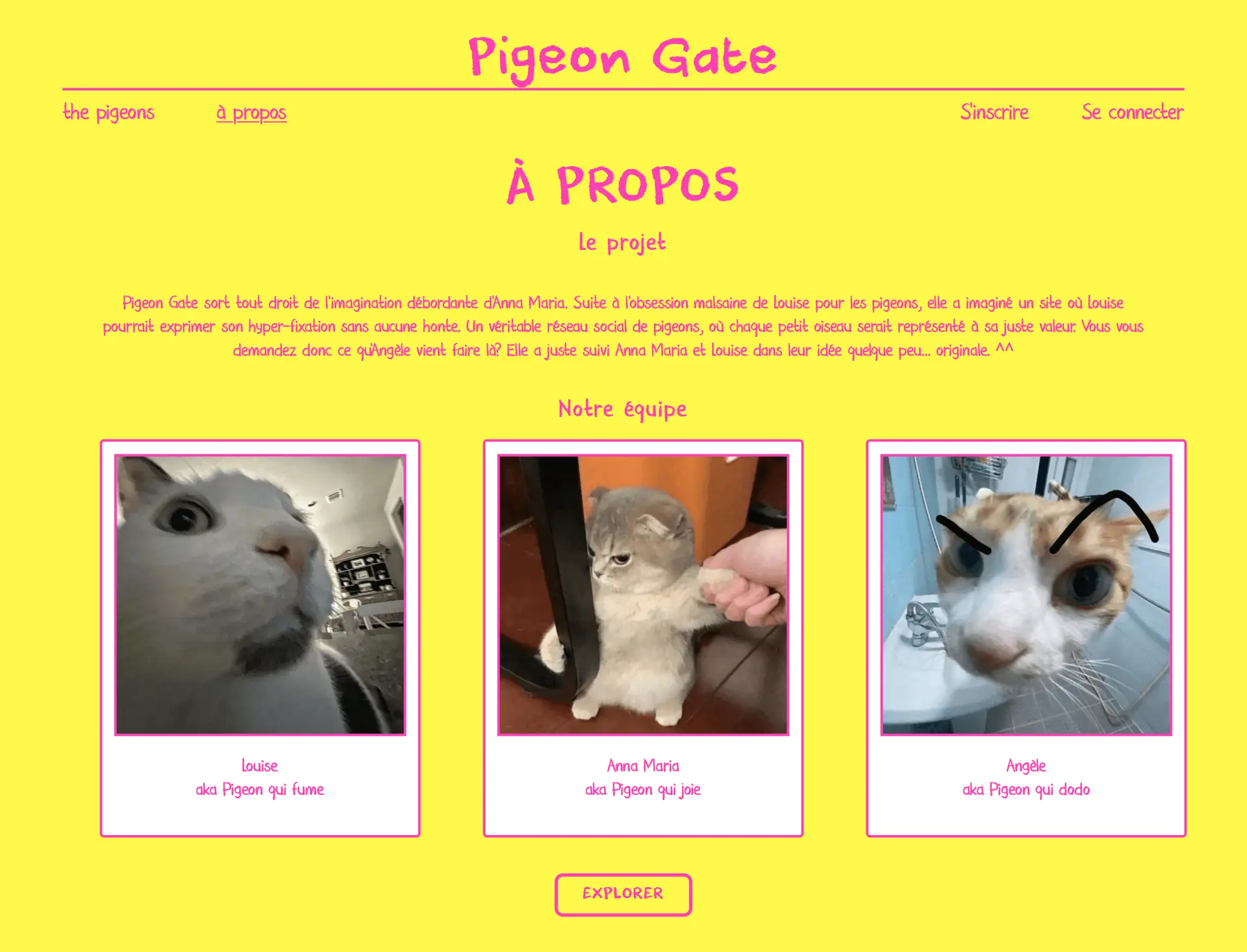 Page de présentation de Pigeon Gate